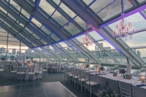 Thara Photo Chicago Wedding Photographer Engagement Photographer Adler Planetarium Summer
