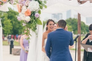 Thara Photo Chicago Wedding Photographer Engagement Photographer Adler Planetarium Summer
