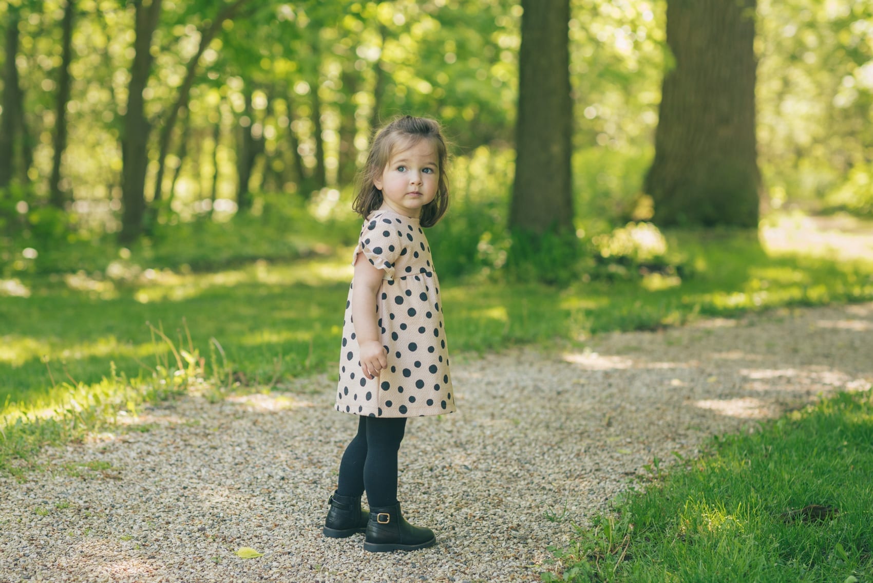 Thara Photo Family Photographer Glenview Grove