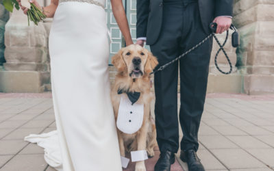 Yes, Your Dog can Participate in Your Wedding